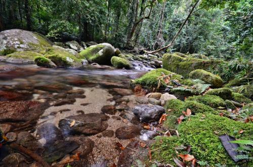 Villa Misty Mountains Rainforest Retreat