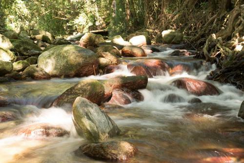 Fishery Falls Holiday Park