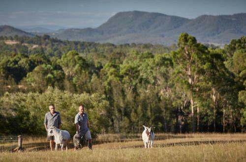 Agroturismo Block Eight Hunter Valley