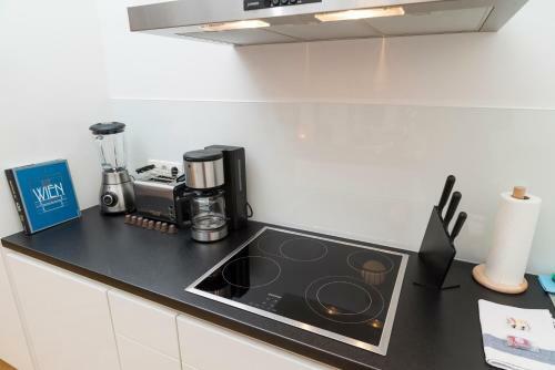 Singerstra�e Luxury Apartment By Welcome2vienna