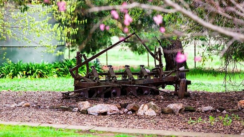Agroturismo Hillview Farmstay