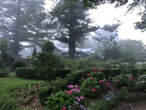 Hostal Foxglove Gardens