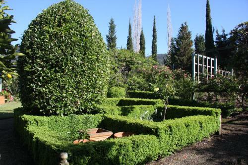 Hostal Foxglove Gardens