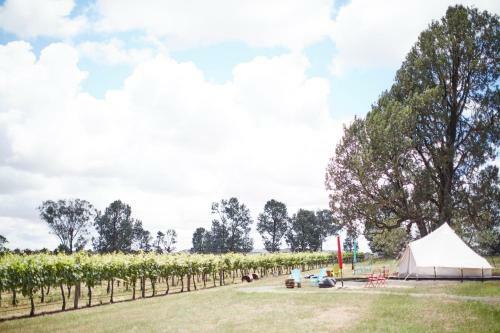 Grapevine Glamping