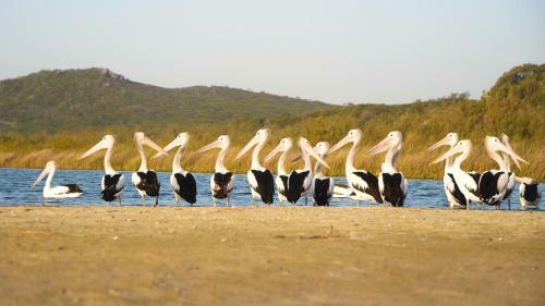 Castaways Moreton Island