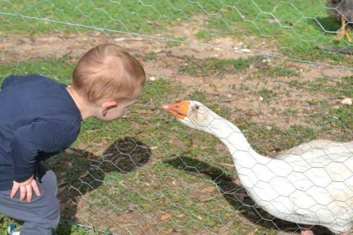 Agroturismo Redwing Farm Stay