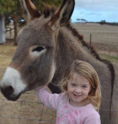Agroturismo Redwing Farm Stay