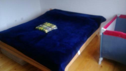 Apartment Mehi