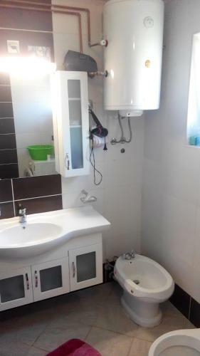 Apartment Mehi
