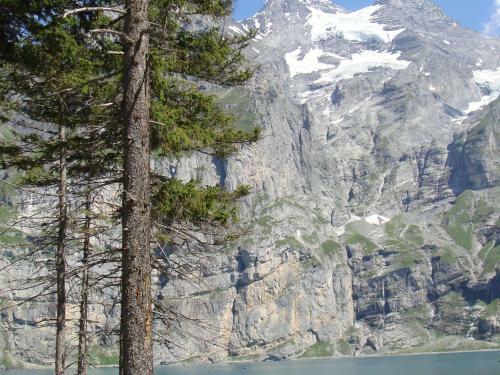 Luxury Chalet In Habkern With Private Garden