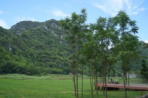 Nanyuan Yisu Guesthouse