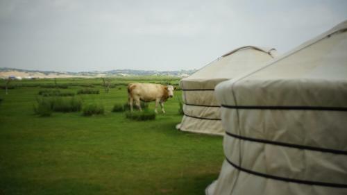 Albergue Xanadu Yurts