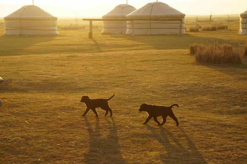 Albergue Xanadu Yurts