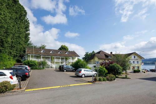 Seehotel Hallwil
