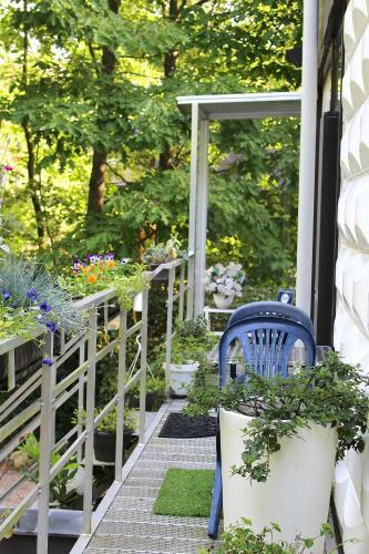 Apartamento Linden-jachthoorn
