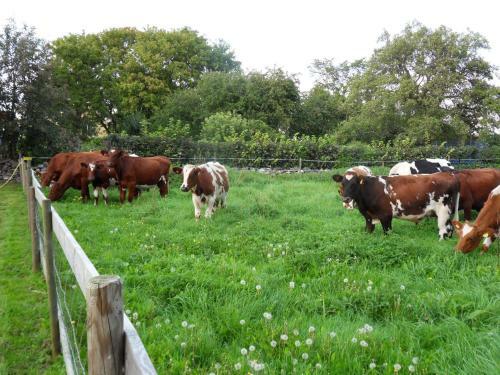 Agroturismo Mellby �r Inn