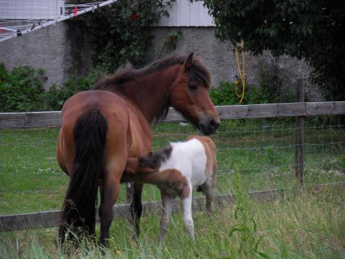 Agroturismo Mellby �r Inn
