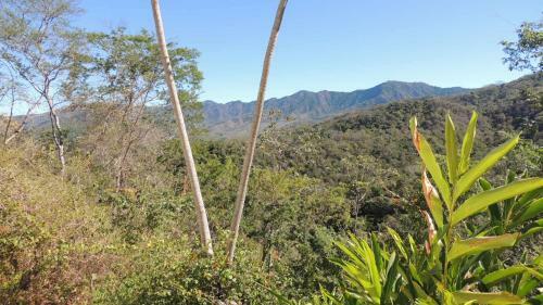 Bed & Breakfast Casa Laureles