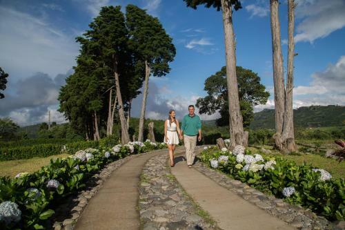 Chayote Lodge