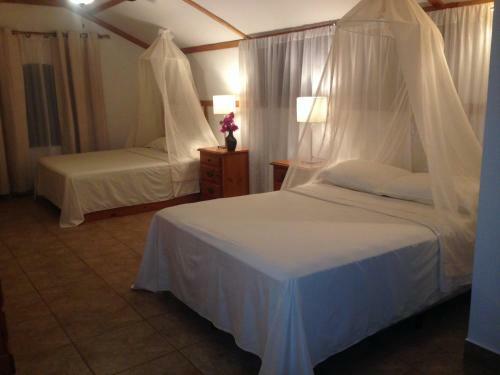 Lodge Borntobewild Ecoresort
