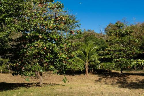 Lodge Borntobewild Ecoresort
