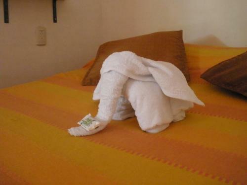 Hotel Caba�as Green House