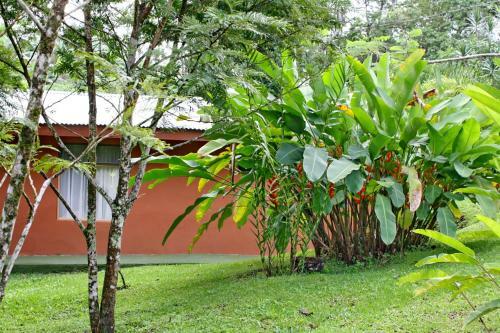Hotel Caba�as Green House