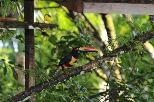 Hotel Caba�as Green House
