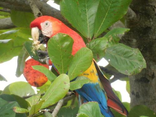 Bed & Breakfast Casa Guacalillo