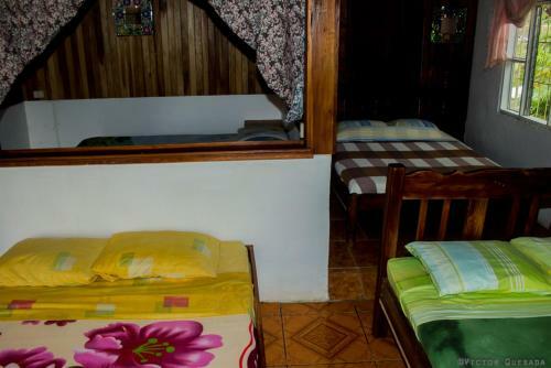 Hotel Cabinas Eco Zoo