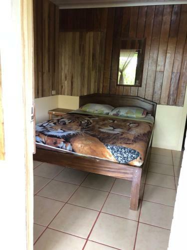 Hotel Cabinas Eco Zoo