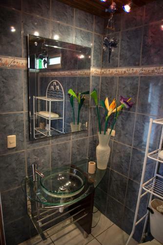 Hotel Cabinas Eco Zoo