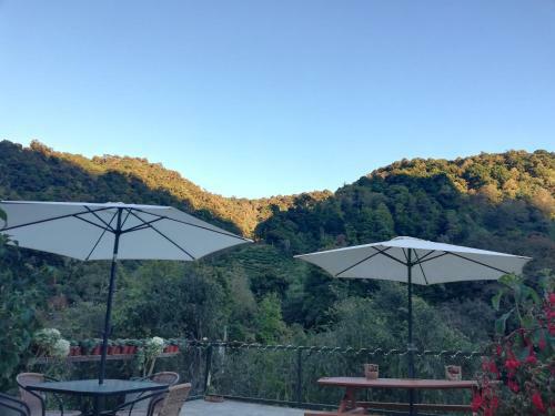 Hotel Los Lagos Lodge