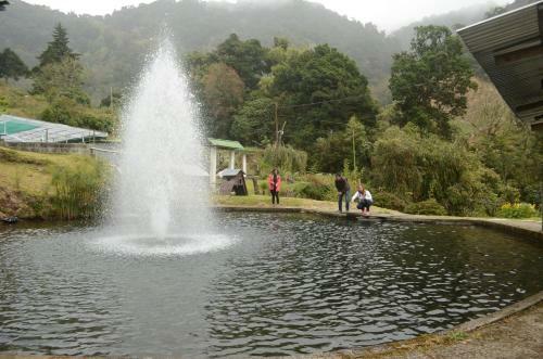Hotel Los Lagos Lodge
