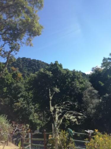 Bed & Breakfast Quetzaly Cabins