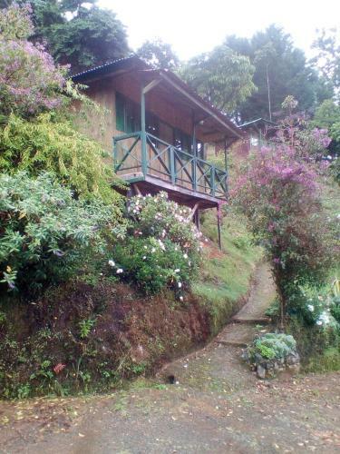 Hotel Las Cataratas Lodge