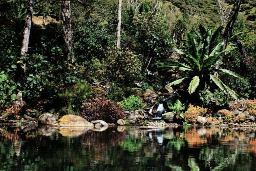 Hotel Lauraceas Lodge