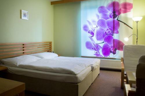 Hostal Penzion U Z�meck� Zahrady