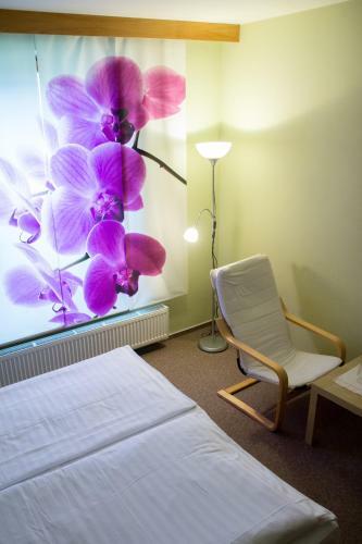 Hostal Penzion U Z�meck� Zahrady