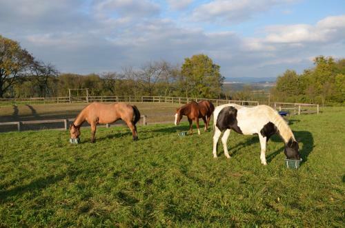 Agroturismo Meadow Ranch Holiday Home