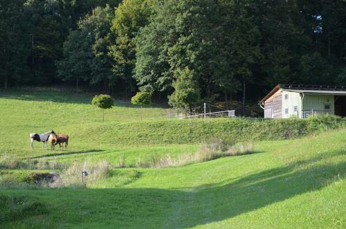 Agroturismo Meadow Ranch Holiday Home