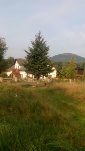 Hostal U T?� Ko?ek