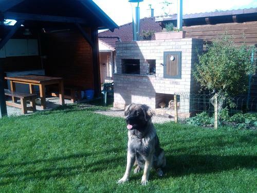 Apartamento Ubytov�n� U Kub?