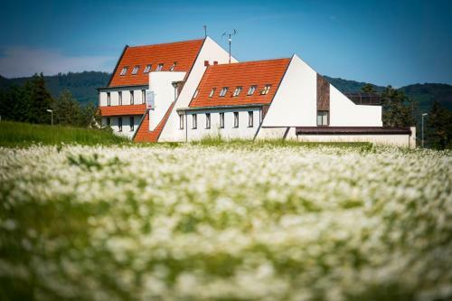 Hotel Resort Vyhl�dka ?lovice