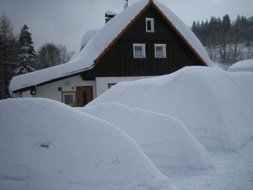 Chalet Lomy