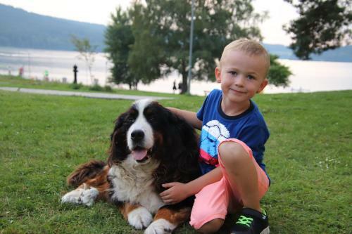 Apartm�n Lipno Bakarloko