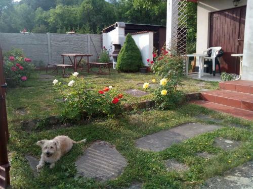 Apartamentos Objekt Rodinn� D?m