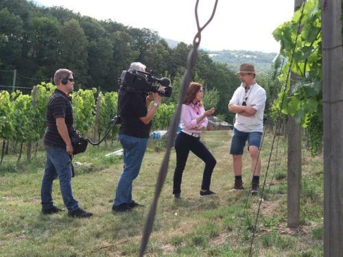 Agroturismo Rodinn� Vina?stv� Mikulenkovi