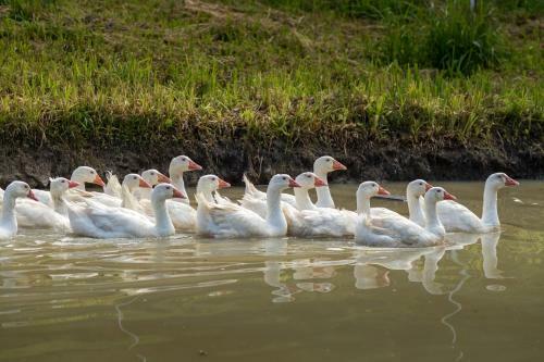 Agroturismo Statek U Rajmunda