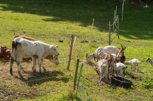 Agroturismo Statek U Rajmunda
